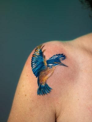 EisVogel Color